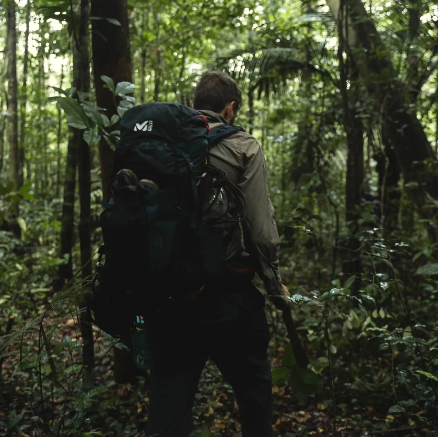 Amazon Rainforest