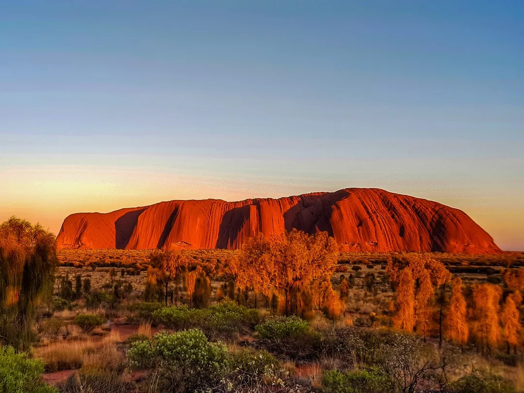 Australian Bush